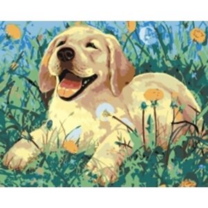 Картина по номерам 000 Art Hobby Home Солнечный щенок 40х50