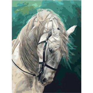 Картина по номерам 000 Hobby Home Белая лошадь 40х50