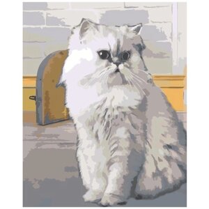 Картина по номерам 000 Hobby Home Белый кот 40х50