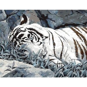 Картина по номерам 000 Hobby Home Белый тигр 40х50