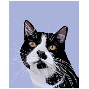 Картина по номерам 000 Hobby Home Черно-белый кот 40х50