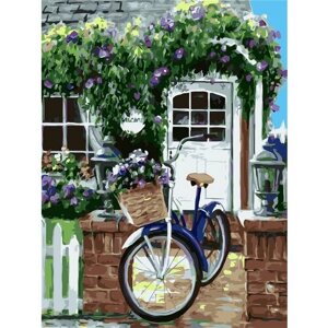 Картина по номерам 000 Hobby Home Цветочный велосипед 40х50