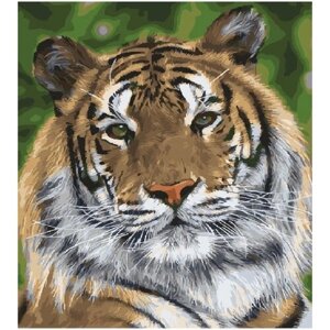 Картина по номерам 000 Hobby Home Гордый взгляд тигра 40х50