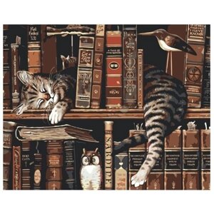 Картина по номерам 000 Hobby Home Котик в библиотеке 40х50