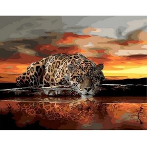 Картина по номерам 000 Hobby Home Леопард у воды 40х50
