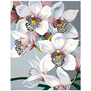 Картина по номерам 000 Hobby Home Орхидея 40х50