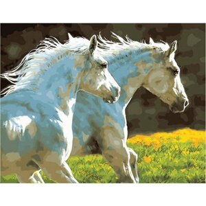 Картина по номерам 000 Hobby Home "Пара белых лошадей" 40х50