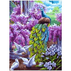 Картина по номерам 000 Hobby Home Павлин и голуби 40х50