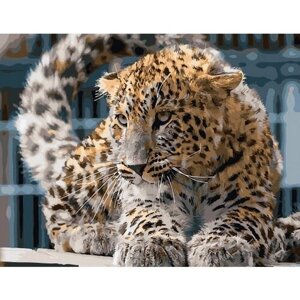 Картина по номерам 000 Hobby Home Пушистый леопард 40х50