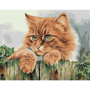 Картина по номерам 000 Hobby Home Рыжая кошка 40х50