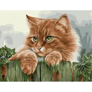Картина по номерам 000 Hobby Home Рыжая кошка 40х50