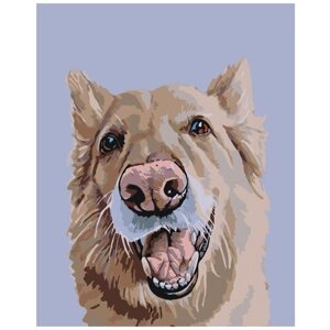 Картина по номерам 000 Hobby Home Собака 40х50