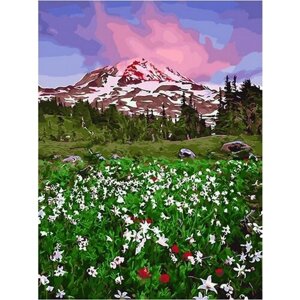 Картина по номерам 000 Hobby Home Весна на альпийских лугах 40х50