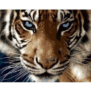 Картина по номерам 000 Hobby Home Взгляд тигра 40х50