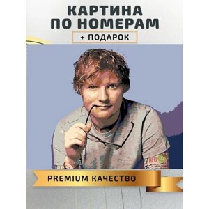 Картина по номерам Эд Ширан / Ed Sheeran холст на подрамнике 50*40
