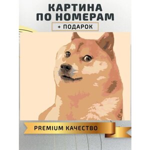 Картина по номерам Мем собака Акита Ину / Akita inu dog холст на подрамнике 50*40