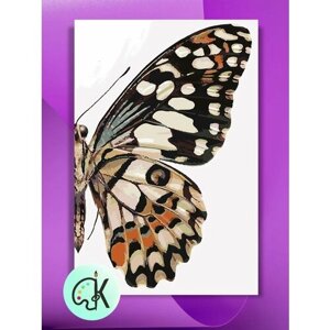 Картина по номерам на холсте Крыло бабочки, 40 х 60 см