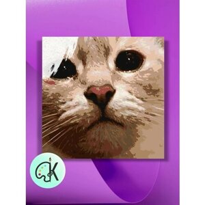 Картина по номерам на холсте Плачущий кот, 40 х 40 см