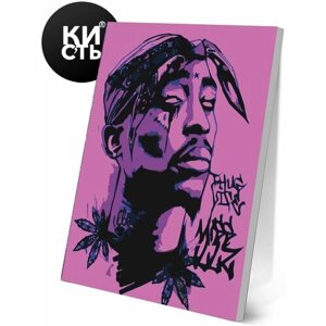 Картина по номерам на холсте с подрамником 40х50 Портрет 2Pac Музыкан Тупак