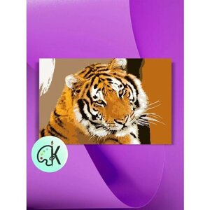 Картина по номерам на холсте Тигр Взгляд, 40 х 60 см