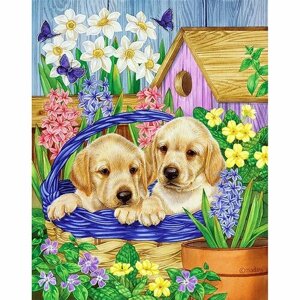 Картина стразами Алмазная мозаика "Собаки" 40х50 см на подрамнике, полная выкладка, круглые стразы 18 цветов, стилус, лоток для кристаллов, YSG1127