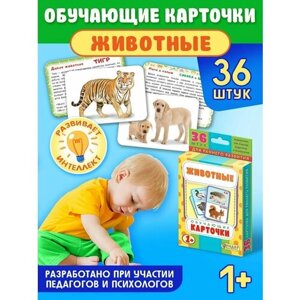 Карточки развивающие обучающие логопедические для малышей 1-3 лет Изучаем Животные