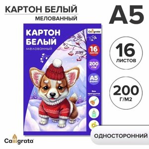 Картон белый А5 16л мел одност 200г/м²в папке