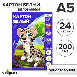 Картон белый А5 24л мел одност 200г/м²в папке