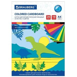 Картон цветной А4 2 - сторонний мелованный EXTRA, 20 листов, 10 цветов, в папке, BRAUBERG, 200х290 мм