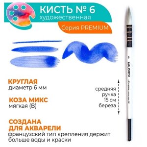 Кисть для акварели профессиональная Малевичъ Premium, коза микс, круглая,6