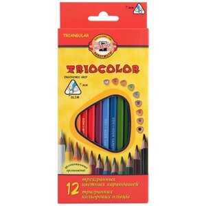 KOH-I-NOOR Карандаши цветные Triocolor, 12 цветов (3132012004KS) разноцветный