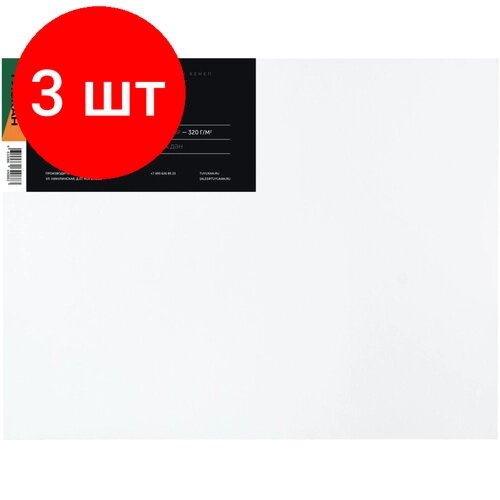 Комплект 3 штук, Холст Туюкан Сатин Микс, 30х40 см, 65% лен/ 35% хл от компании М.Видео - фото 1