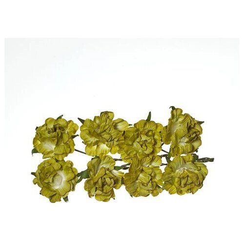 Кудрявые розы из бумаги, зеленые, 8 штук от компании М.Видео - фото 1
