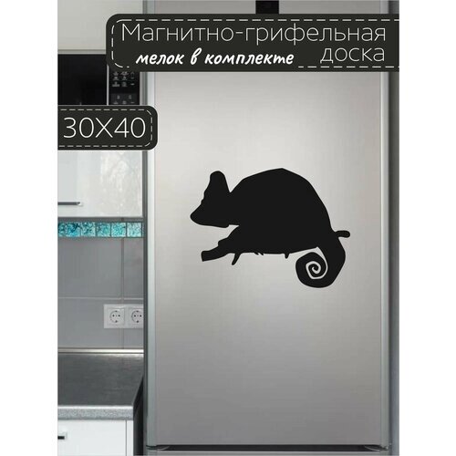 Магнитно-грифельная доска для записей на холодильник в форме игуаны, 30х40 см от компании М.Видео - фото 1