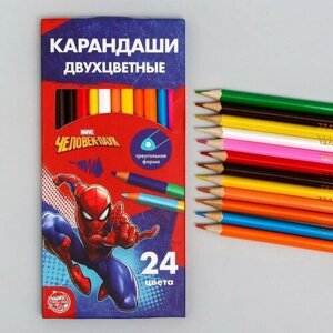MARVEL Карандаши двухсторонние, 24 цвета, заточенные, трехгранные, картонная упаковка, европодвес, Человек-паук