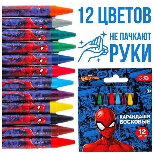 MARVEL Восковые карандаши Человек-Паук, набор 12 цветов от компании М.Видео - фото 1