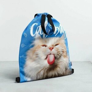 Мешок для обуви "Cat Bag", два вида ручек, 41х31 см