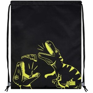 Мешок рюкзак для сменной обуви и формы Phoenix Plus черный Динозавры +брелок В подарок