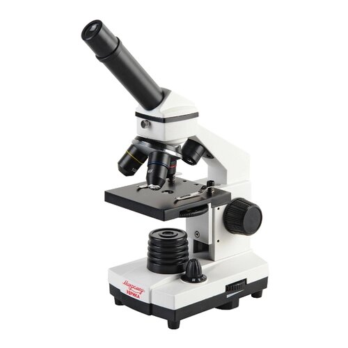 Микроскоп Микромед Эврика 22670 школьный 40х-1280х с видеоокуляром в кейсе от компании М.Видео - фото 1