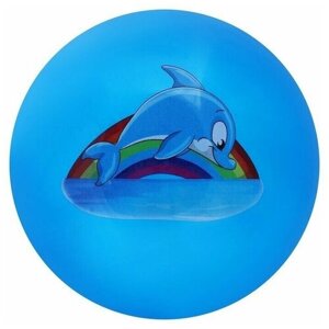 Мяч детский "Дельфинчик" 22 см, 60 г, цвет синий, 1 шт.