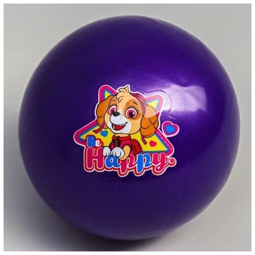 Мяч детский Paw Patrol "Happy", 16 см, 50 г, цвета микс от компании М.Видео - фото 1