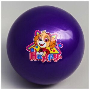 Мяч детский Paw Patrol "Happy", 16 см, 50 гр, цвета микс