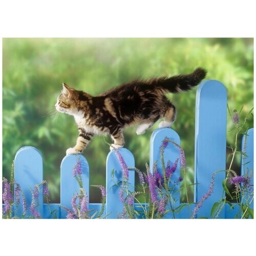 "Набор алмазной мозаики ""Кошка на заборе"", размер 50х36 см, 53 цвета" от компании М.Видео - фото 1