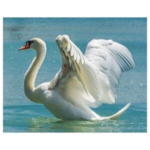 Набор алмазной вышивки "Лебедь", размер 50х40 см, 44 цвета
