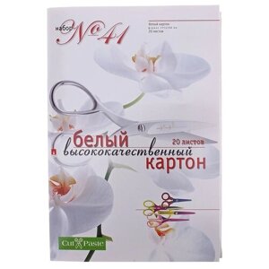 Набор белого картона , HOBBY TIME № 41, А4 (205 х 295 мм), 20 листов, "высококачественный", Арт. 11-420-109