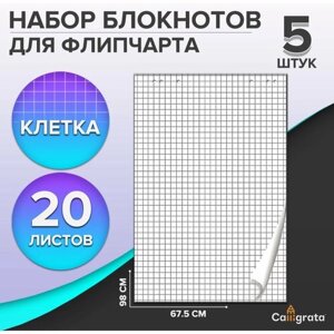 Набор блокнотов 5 штук для флипчарта, 67,5 х 98 см, 20 листов в клетку, 92%80 г/м2,