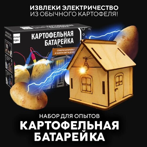 Набор для опытов для детей Картофельная батарейка Простая наука/ Опыты для детей от 5 лет/ Подарок для девочки и мальчика от компании М.Видео - фото 1