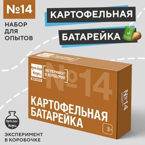 Набор для опытов для детей Картофельная батарейка Простая наука / Подарок для девочки / Подарок для мальчика / Развивающая игрушка