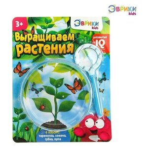 Набор для опытов «Выращиваем растение»лупа, семена, тарелка, губка