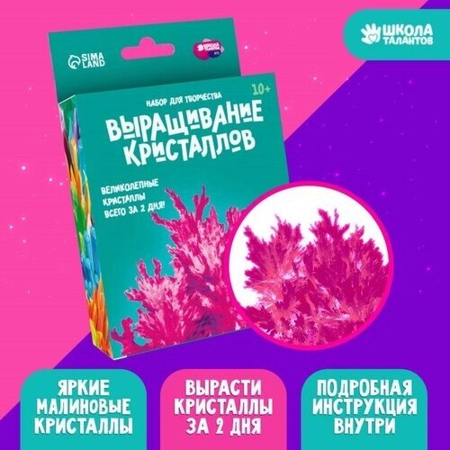 Набор для творчества истые кристаллы, цвет малиновый 1 шт от компании М.Видео - фото 1